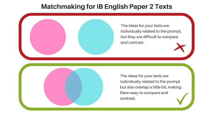 Ib essay hl example