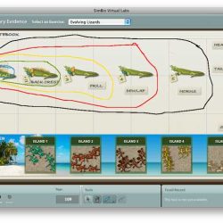 Transgenic fly virtual lab worksheet answers