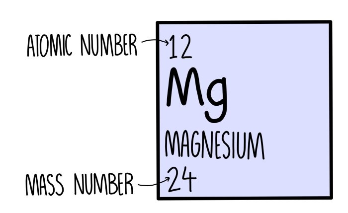 Chemistry atomic number and mass number worksheet