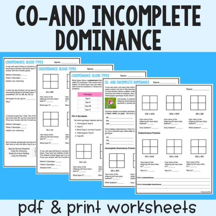 Codominant/incomplete dominance practice worksheet answers