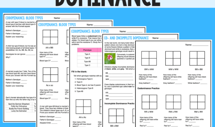 Complete dominance mendelian genetics worksheet