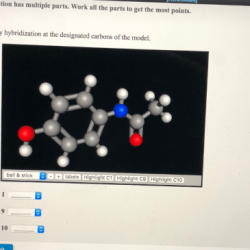 Designated hybridization specify carbons model carbon