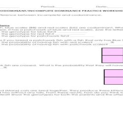 Codominant/incomplete dominance practice worksheet answers